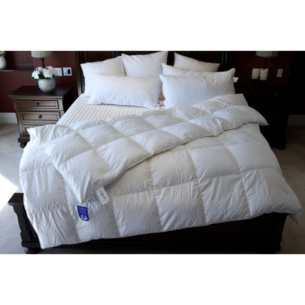 Royal Elite 400TC Hutterite 800 Fill Power All Seasons Down Comforter